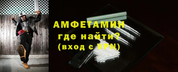 ПСИЛОЦИБИНОВЫЕ ГРИБЫ Грязовец