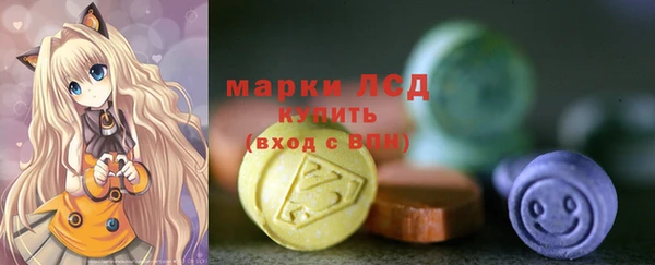 ПСИЛОЦИБИНОВЫЕ ГРИБЫ Грязовец
