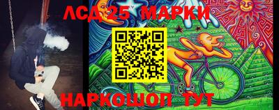 стафф Бийск