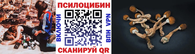Галлюциногенные грибы Psilocybine cubensis  Тверь 