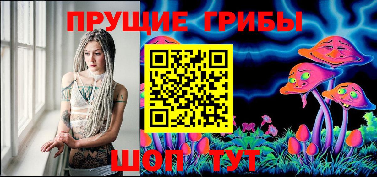 Псилоцибиновые грибы MAGIC MUSHROOMS  Вход с VPN  Тверь 