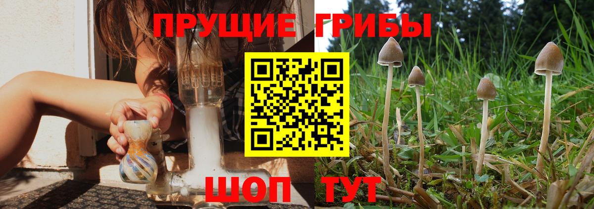 Галлюциногенные грибы Magic Shrooms Тверь