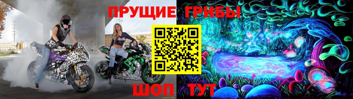 Псилоцибиновые грибы GOLDEN TEACHER Тверь